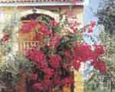 Pitoresk Holiday Village